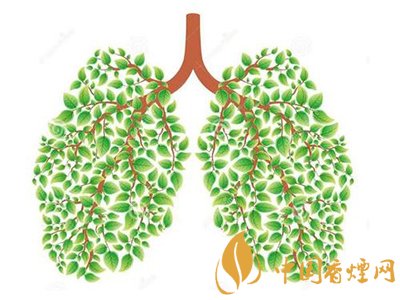 相比癌癥慢阻肺疾病離吸煙者更近！