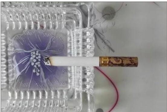 黃鶴樓漫天游，除了短貴沒別的毛病