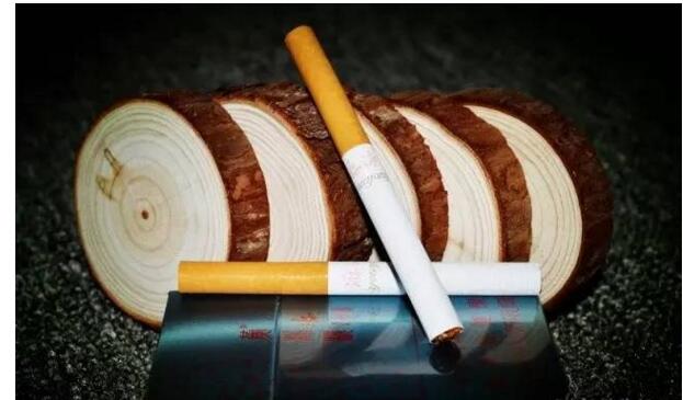 黃鶴樓游泳回歸，爺爺輩最喜愛的香煙品牌