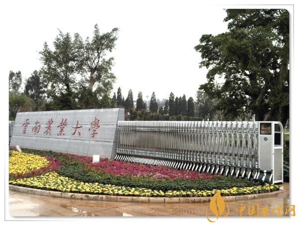 煙草專業(yè)大學排名，煙草專業(yè)就業(yè)前景好
