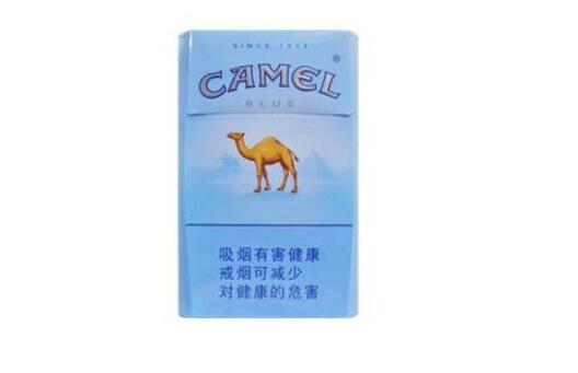 駱駝(硬藍日產(chǎn)中免)圖片