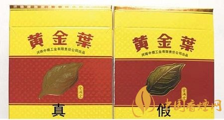 黃金葉金滿堂香煙真假辨別圖鑒 一看便知真假！